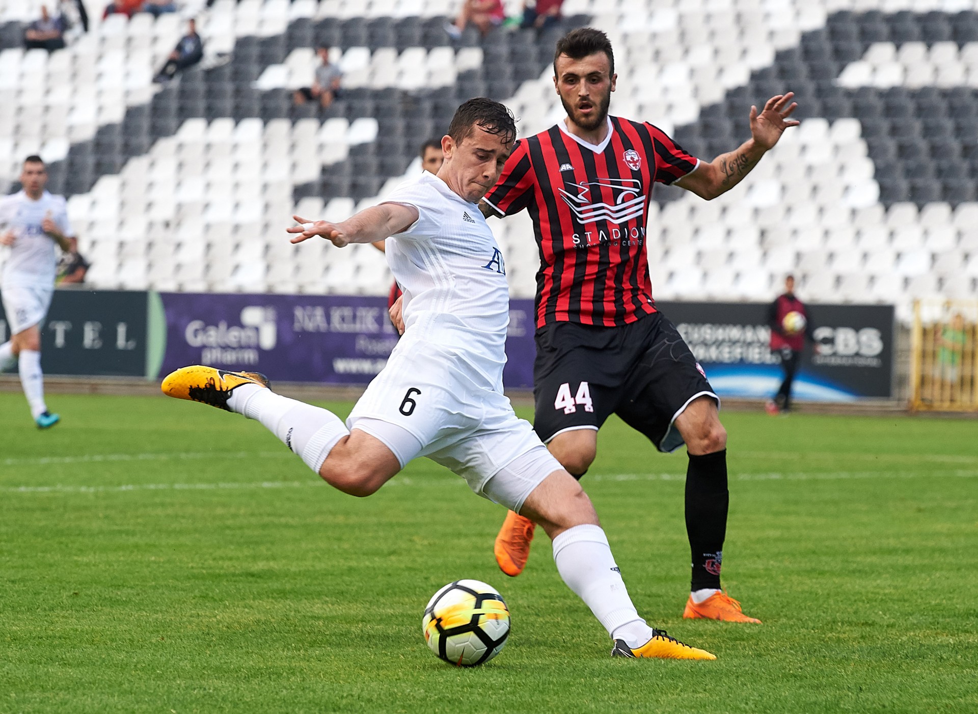 Miladin Stevanović na meču sa Voždovcem - Miladin Stevanović | FkCukaricki